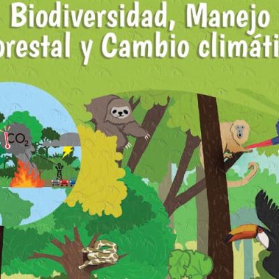 portada bosques educativos