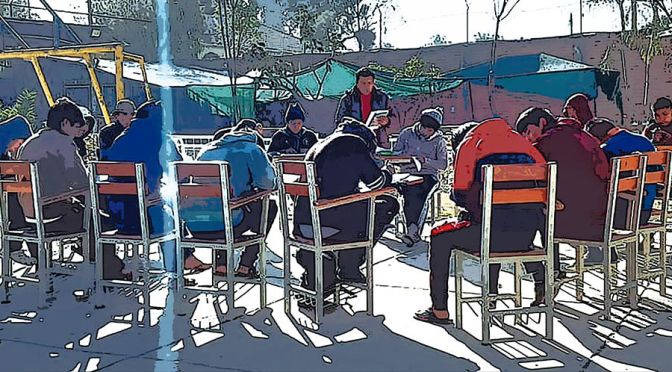 Programa Cometa 3